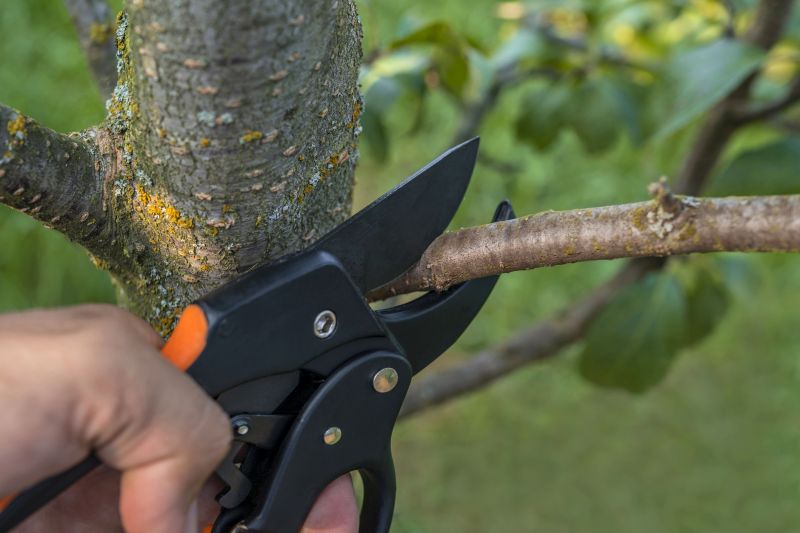 Ivy Pruning Service