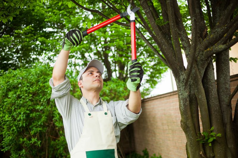 Specialty Tree and Shrub Services