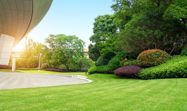 Cost of Commercial Shrub Trimming in Fresno