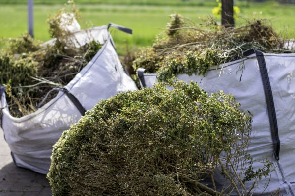 Cost of Shrubs Removal in Fresno